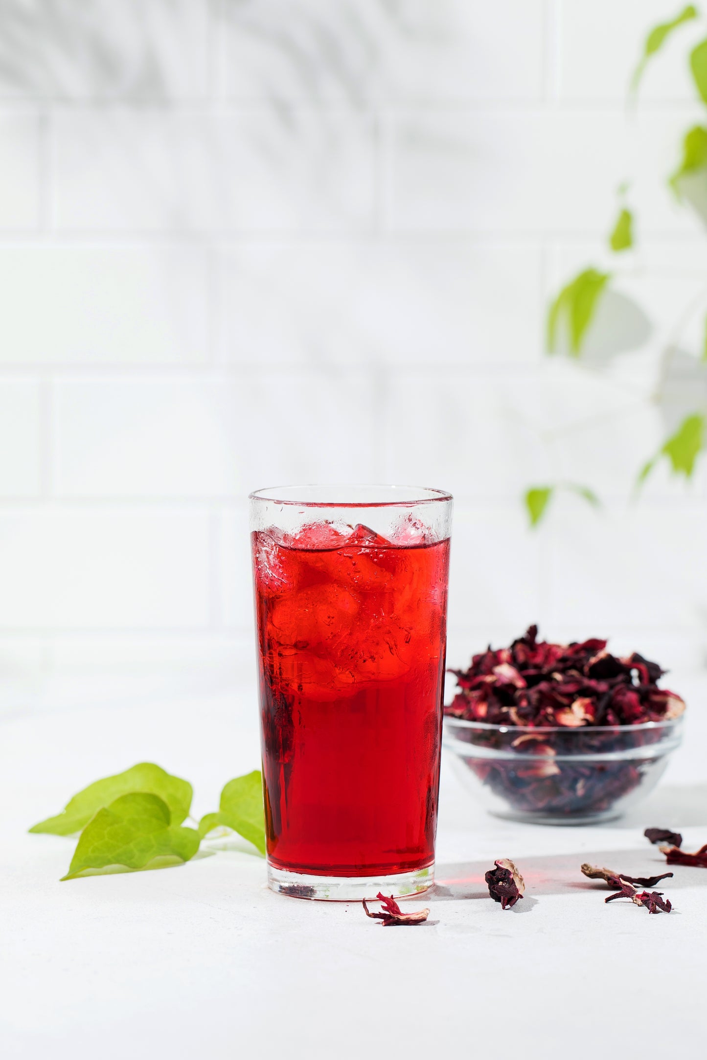 Signature Drinks